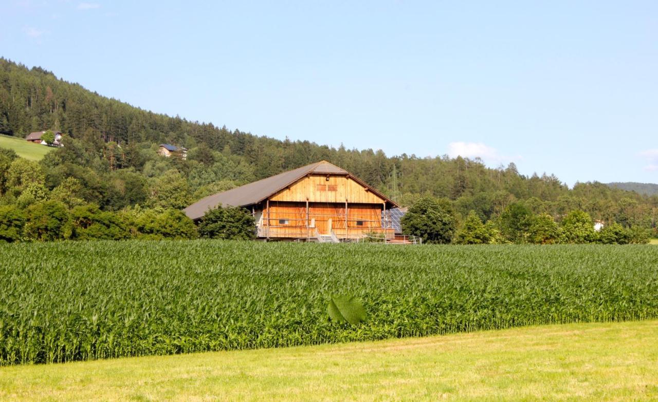 Апартаменты Schoenhuberhof - Panoramalage Брунико Экстерьер фото